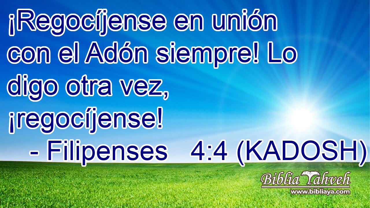  ¡Regocíjense en unión con el Adón siempre! Lo digo otra vez, ¡regocíjense! 