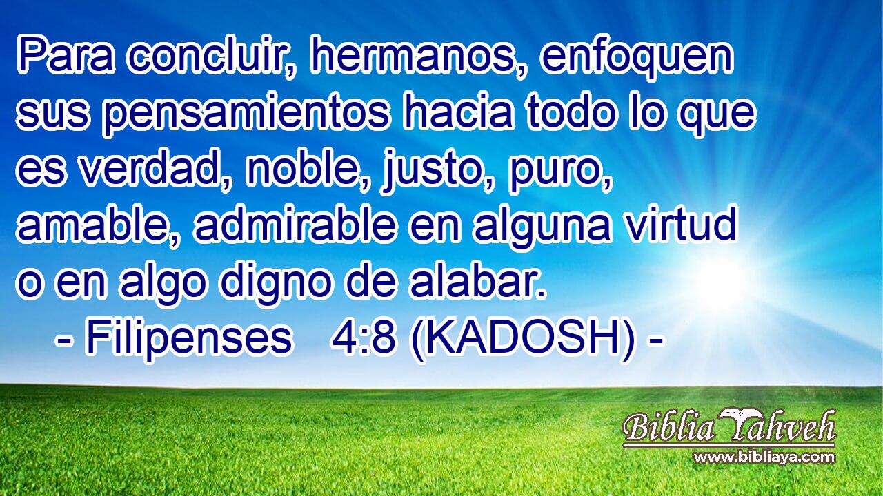  Para concluir, hermanos, enfoquen sus pensamientos hacia todo lo que es verdad, noble, justo, puro, amable, admirable en alguna virtud o en algo digno de alabar. 