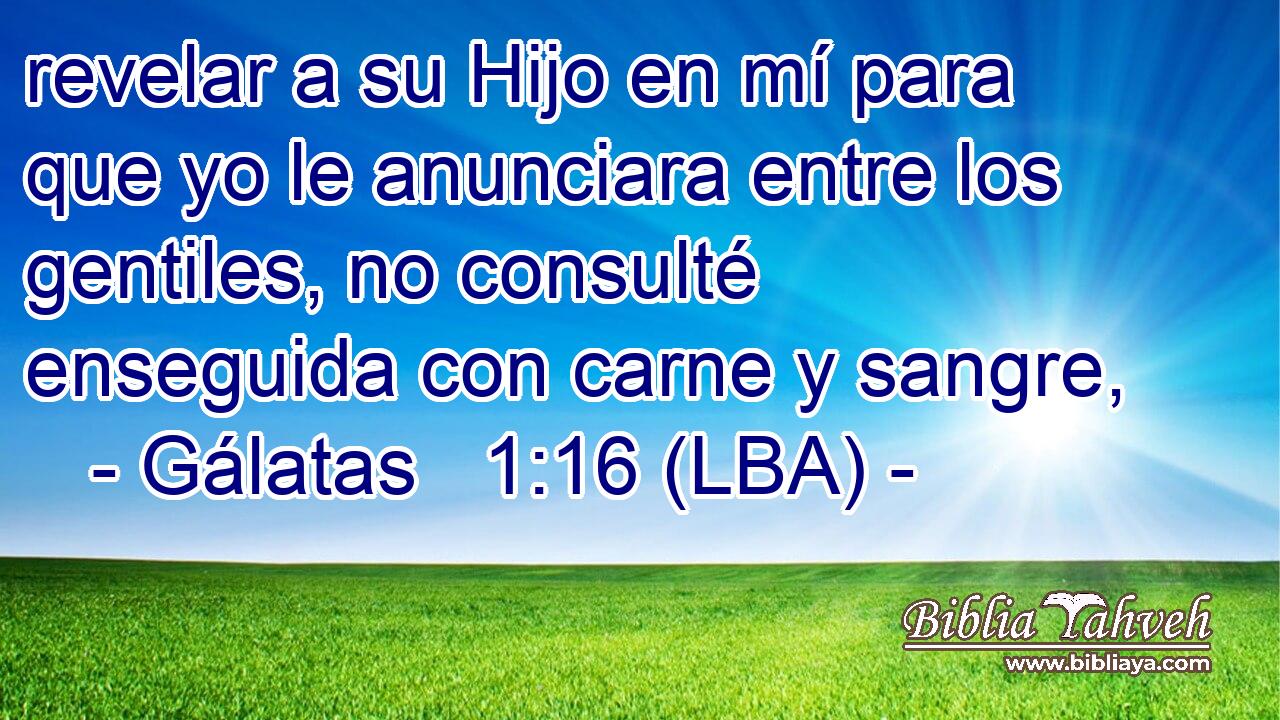 revelar a su Hijo en mí para que yo le anunciara entre los gentiles, no consulté enseguida con carne y sangre,