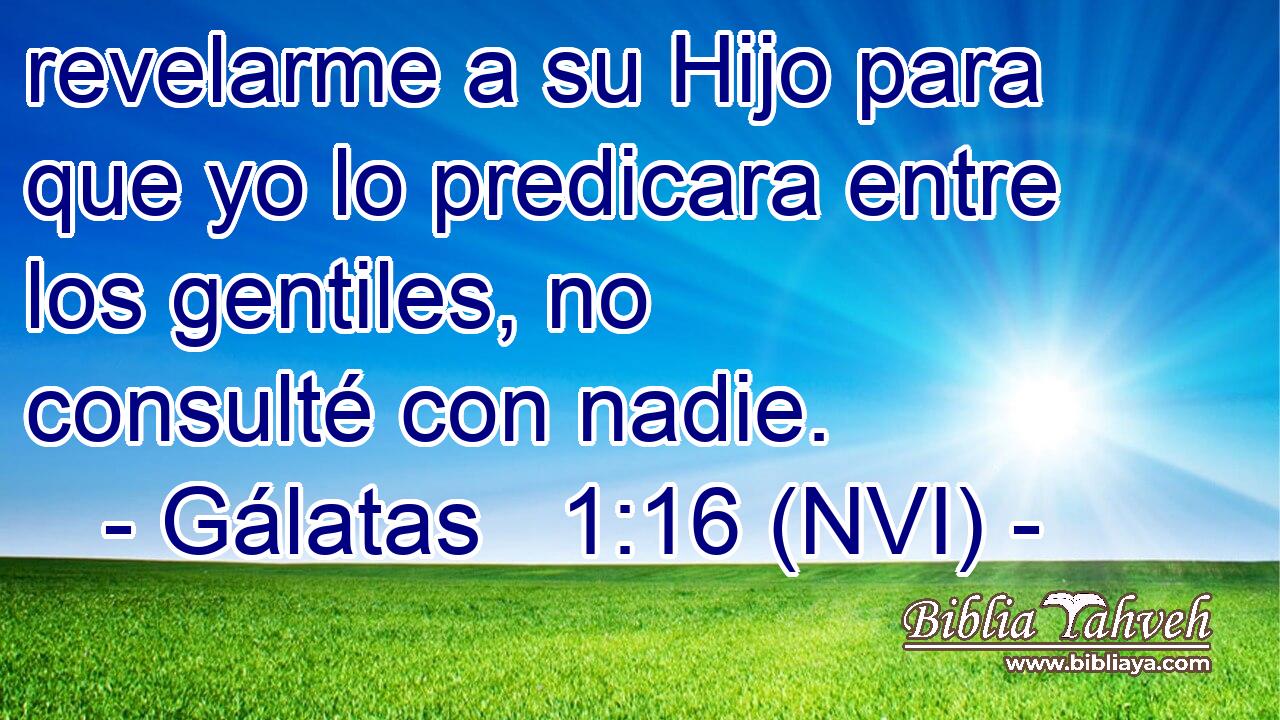  revelarme a su Hijo para que yo lo predicara entre los gentiles, no consulté con nadie. 