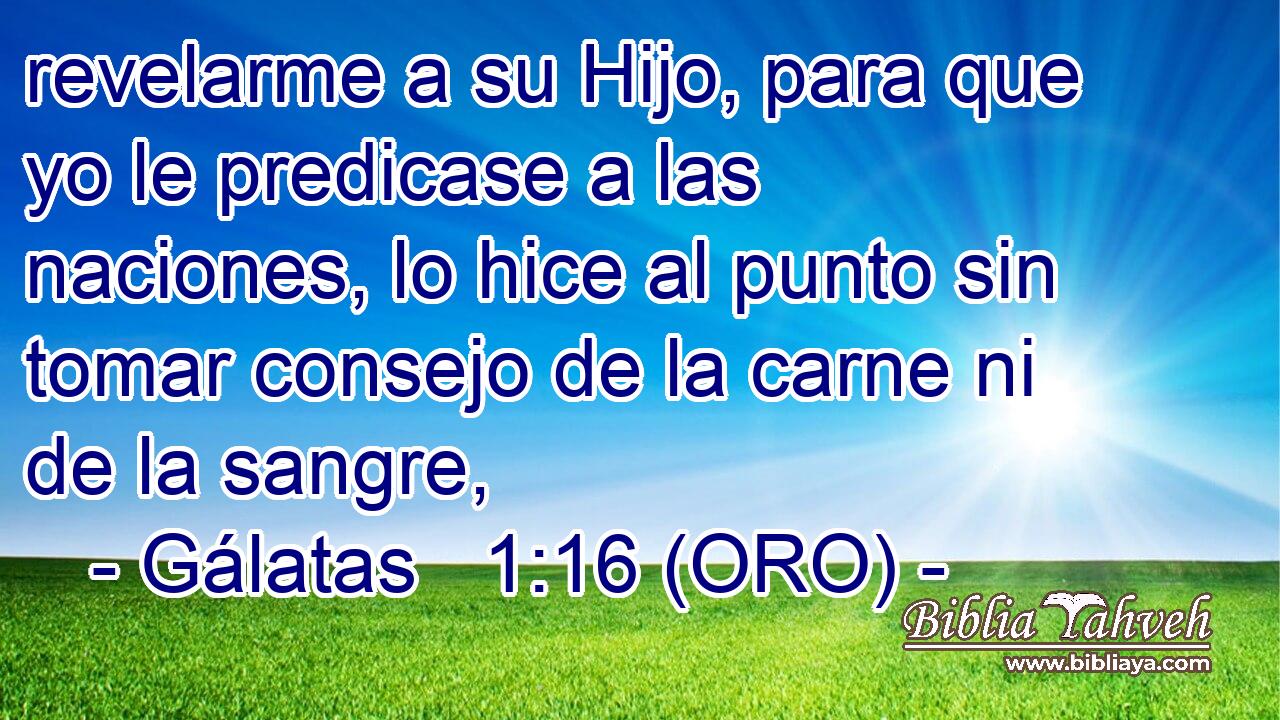  revelarme a su Hijo, para que yo le predicase a las naciones, lo hice al punto sin tomar consejo de la carne ni de la sangre, 