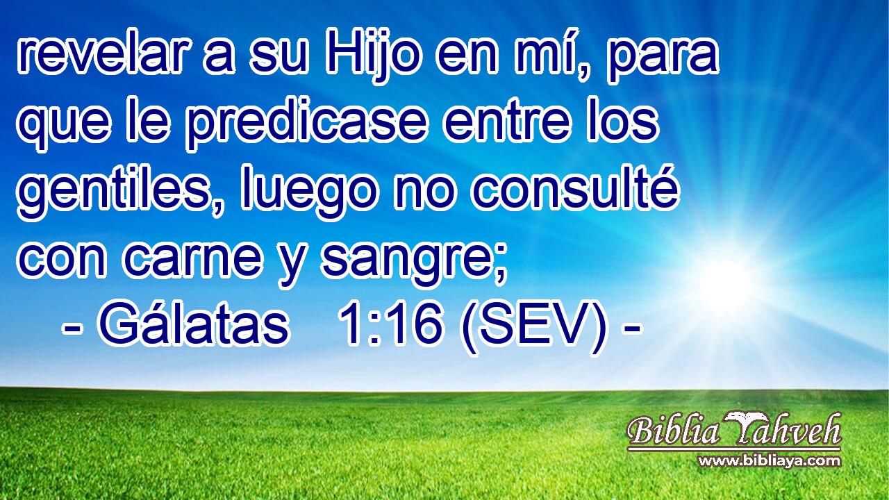 revelar a su Hijo en mí, para que le predicase entre los gentiles, luego no consulté con carne y sangre;