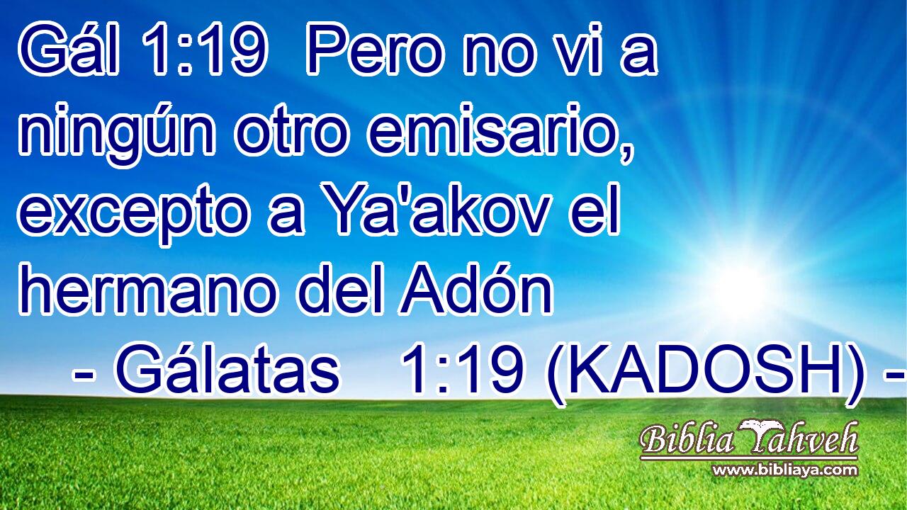  Pero no vi a ningún otro emisario, excepto a Ya'akov el hermano del Adón 