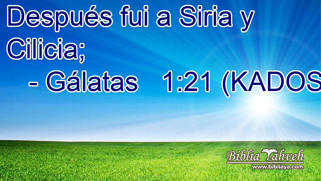  Después fui a Siria y Cilicia; 