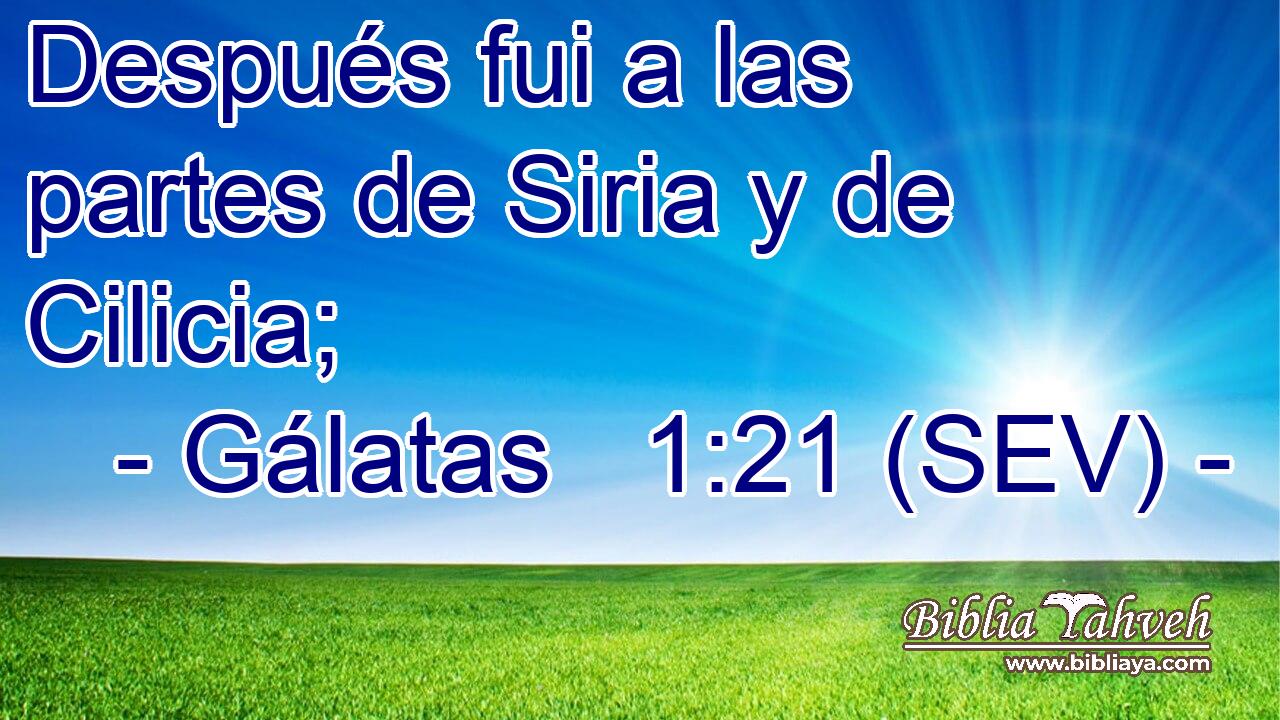 Después fui a las partes de Siria y de Cilicia;
