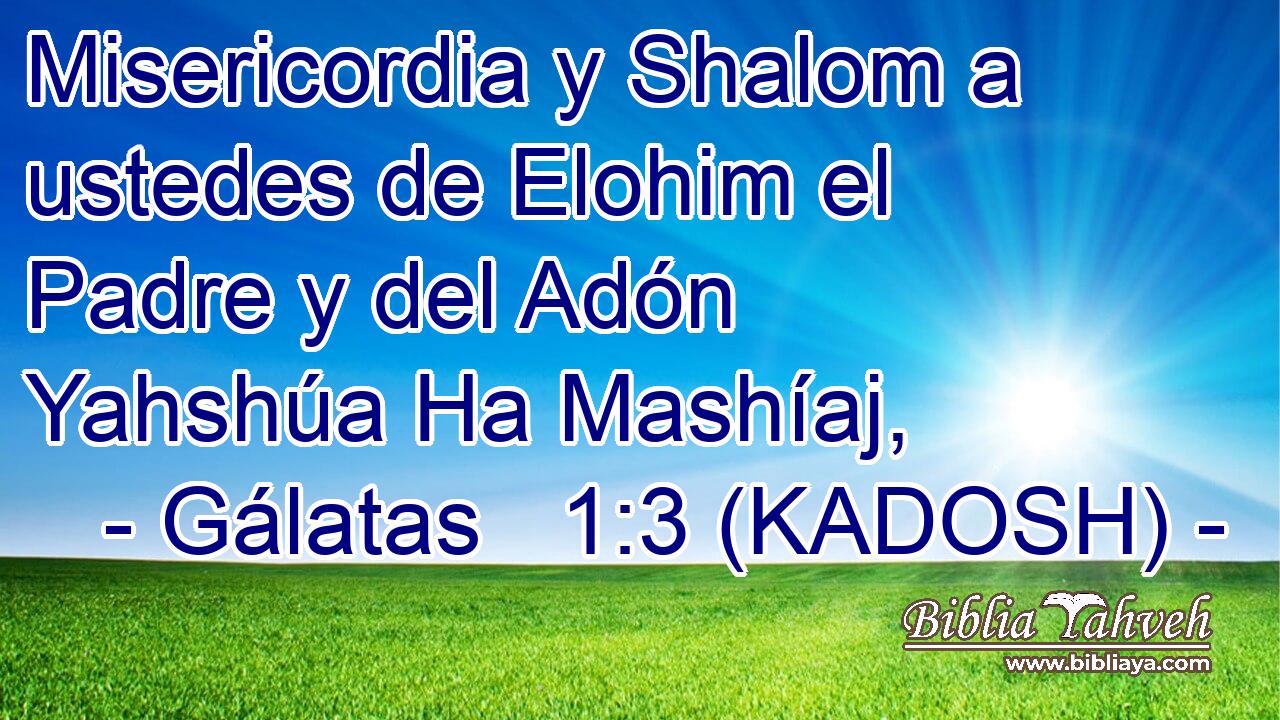  Misericordia y Shalom a ustedes de Elohim el Padre y del Adón Yahshúa Ha Mashíaj, 