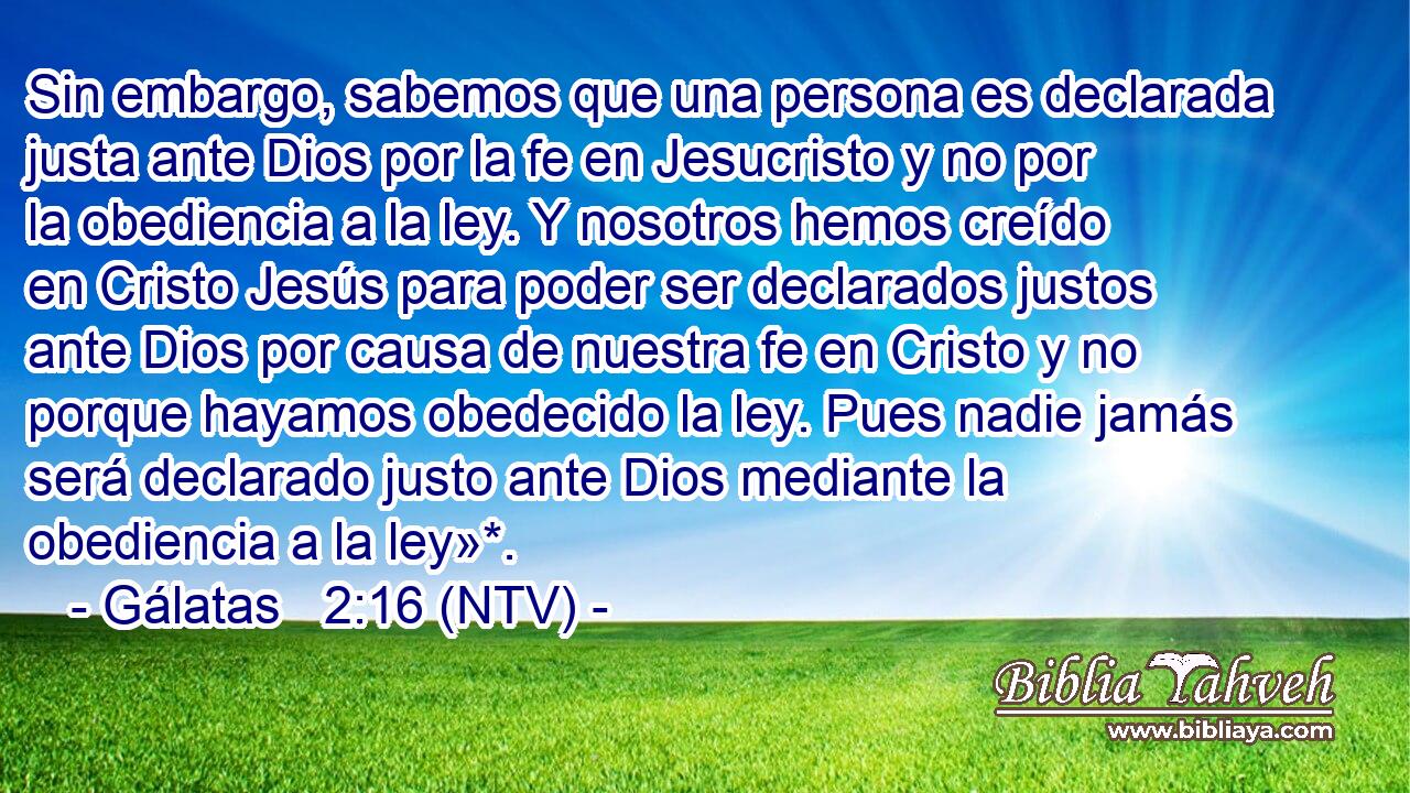 Sin embargo, sabemos que una persona es declarada justa ante Dios por la fe en Jesucristo y no por la obediencia a la ley. Y nosotros hemos creído en Cristo Jesús para poder ser declarados justos ante Dios por causa de nuestra fe en Cristo y no porque hayamos obedecido la ley. Pues nadie jamás será declarado justo ante Dios mediante la obediencia a la ley»*.