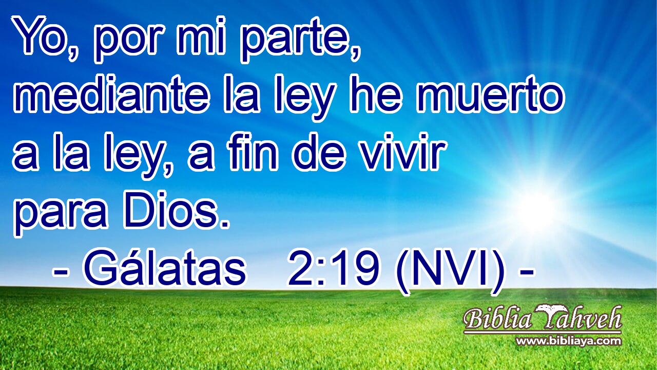  Yo, por mi parte, mediante la ley he muerto a la ley, a fin de vivir para Dios. 
