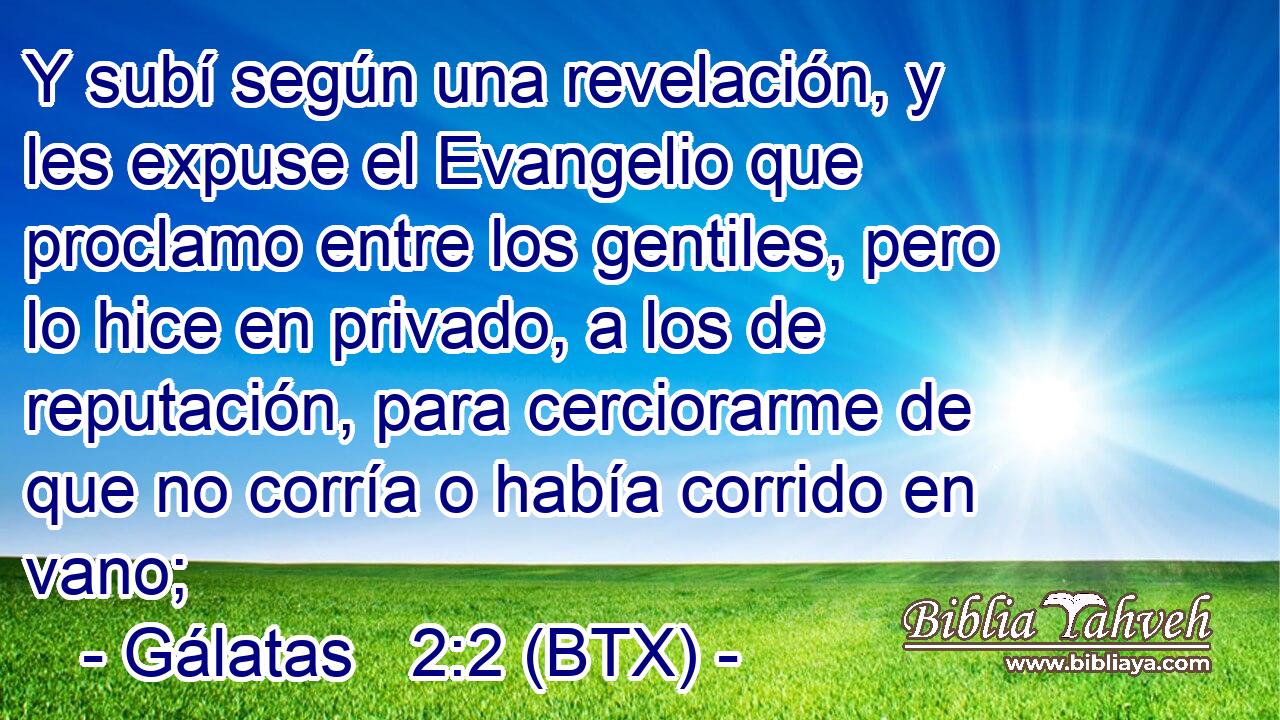 Y subí según una revelación, y les expuse el Evangelio que proclamo entre los gentiles, pero lo hice en privado, a los de reputación, para cerciorarme de que no corría o había corrido en vano;