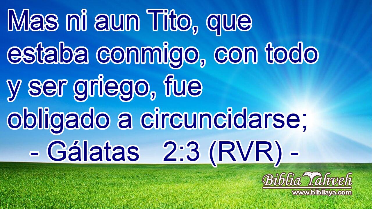 Mas ni aun Tito, que estaba conmigo, con todo y ser griego, fue obligado a circuncidarse;