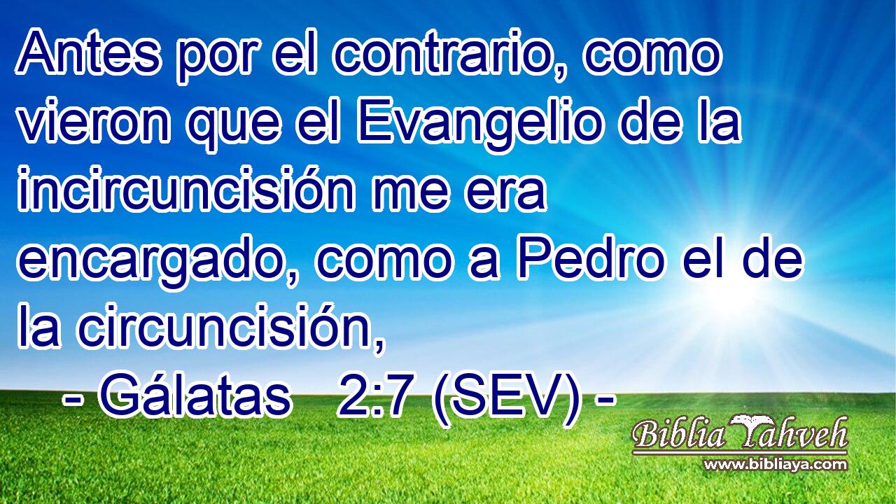 Antes por el contrario, como vieron que el Evangelio de la incircuncisión me era encargado, como a Pedro el de la circuncisión,