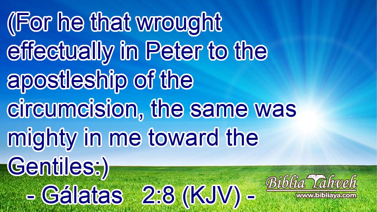 (For he that wrought effectually in Peter to the apostleship of the circumcision, the same was mighty in me toward the Gentiles:)
