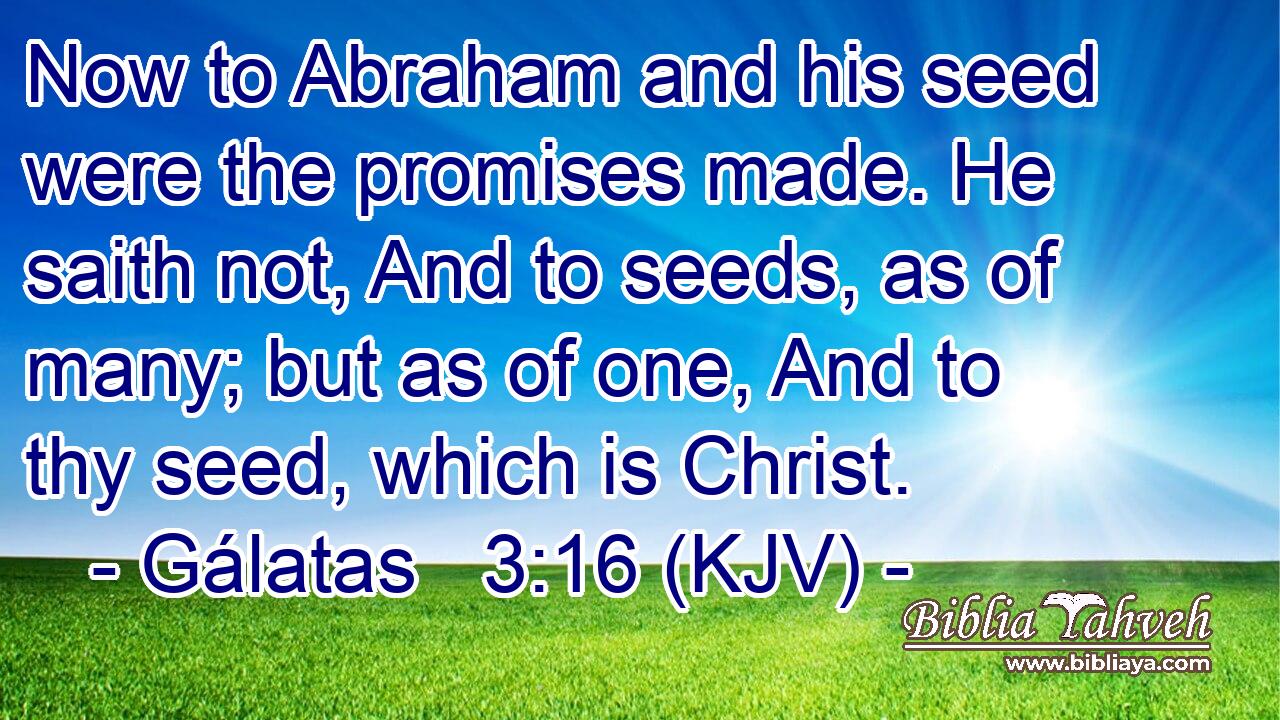 Now to Abraham and his seed were the promises made. He saith not, And to seeds, as of many; but as of one, And to thy seed, which is Christ.