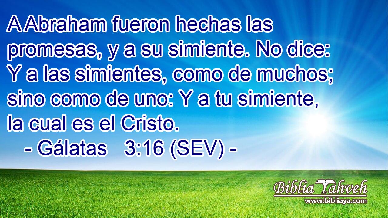 A Abraham fueron hechas las promesas, y a su simiente. No dice: Y a las simientes, como de muchos; sino como de uno: Y a tu simiente, la cual es el Cristo.