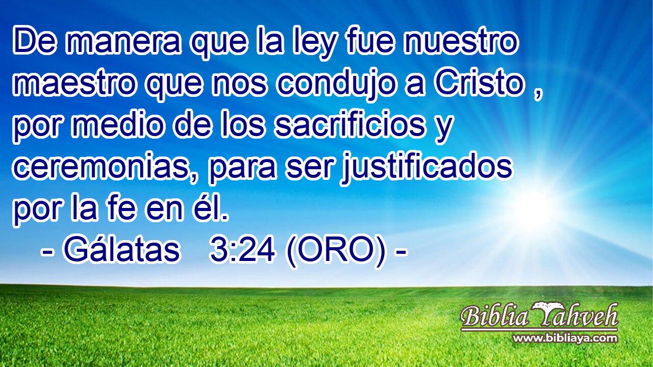  De manera que la ley fue nuestro maestro que nos condujo a Cristo , por medio de los sacrificios y ceremonias, para ser justificados por la fe en él. 