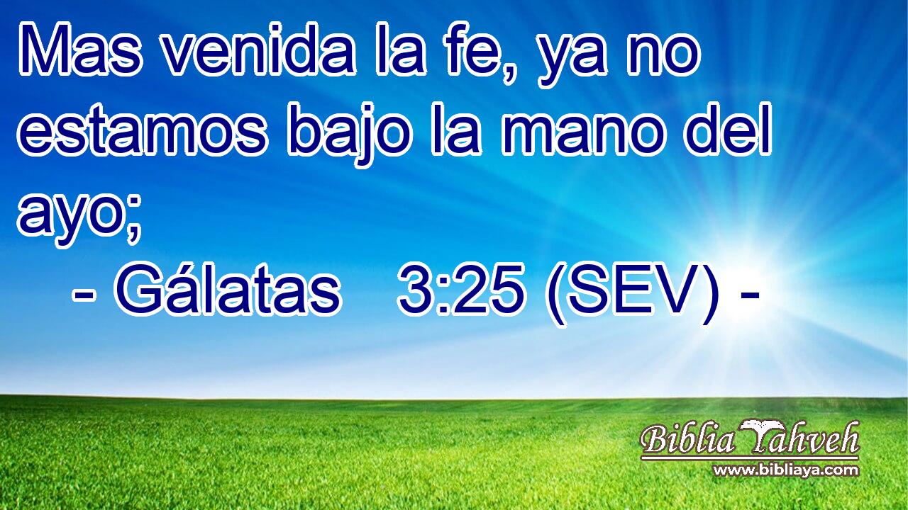 Mas venida la fe, ya no estamos bajo la mano del ayo;