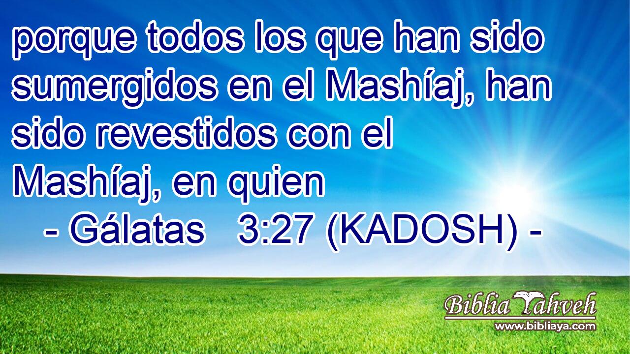  porque todos los que han sido sumergidos en el Mashíaj, han sido revestidos con el Mashíaj, en quien 