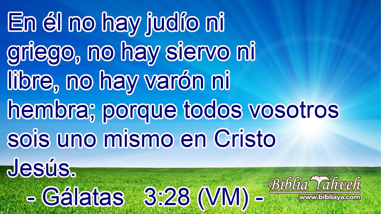  En él no hay judío ni griego, no hay siervo ni libre, no hay varón ni hembra; porque todos vosotros sois uno mismo en Cristo Jesús. 