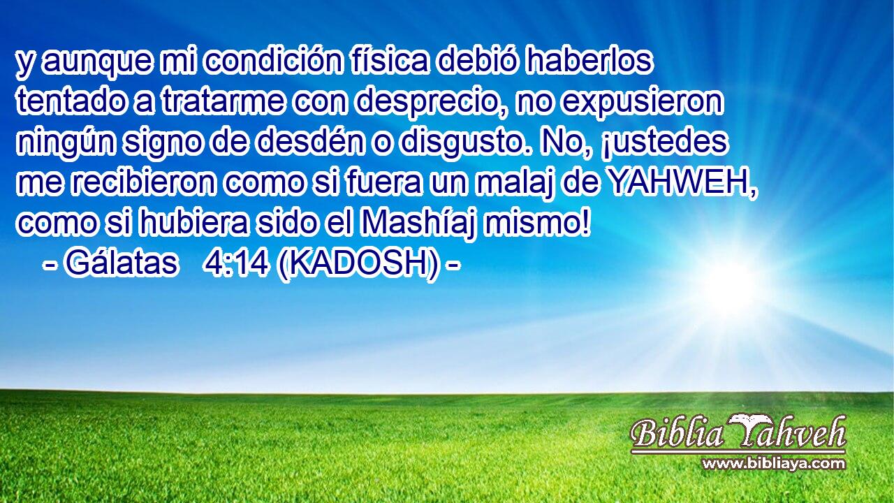  y aunque mi condición física debió haberlos tentado a tratarme con desprecio, no expusieron ningún signo de desdén o disgusto. No, ¡ustedes me recibieron como si fuera un malaj de YAHWEH, como si hubiera sido el Mashíaj mismo! 