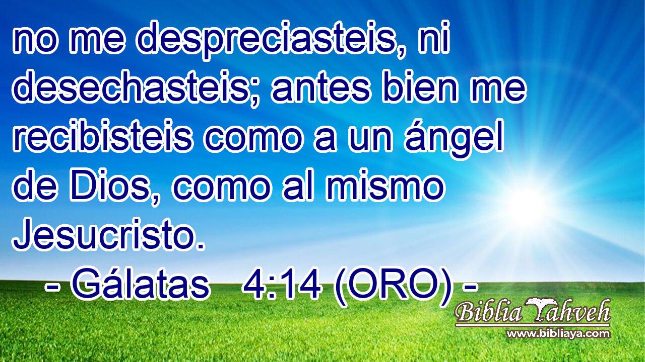 no me despreciasteis, ni desechasteis; antes bien me recibisteis como a un ángel de Dios, como al mismo Jesucristo. 