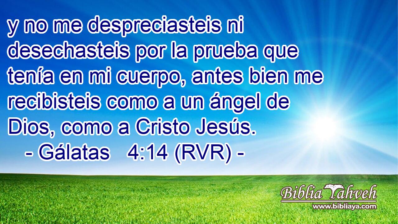 y no me despreciasteis ni desechasteis por la prueba que tenía en mi cuerpo, antes bien me recibisteis como a un ángel de Dios, como a Cristo Jesús.