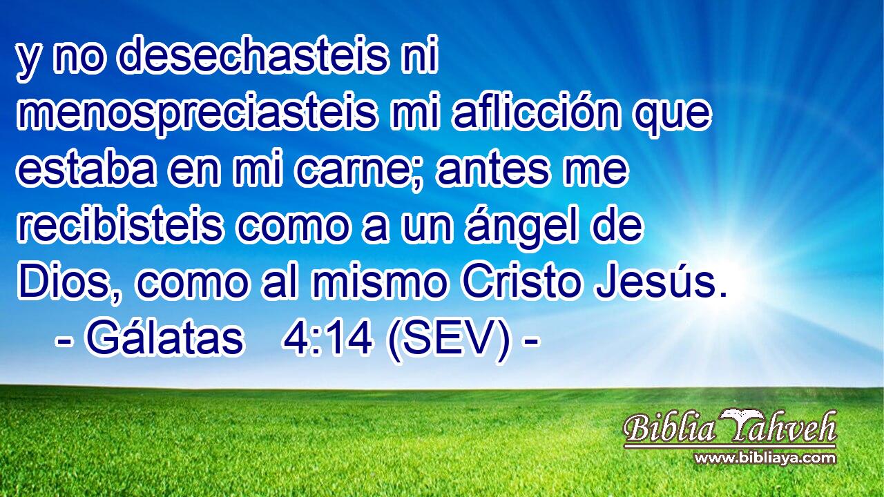 y no desechasteis ni menospreciasteis mi aflicción que estaba en mi carne; antes me recibisteis como a un ángel de Dios, como al mismo Cristo Jesús.