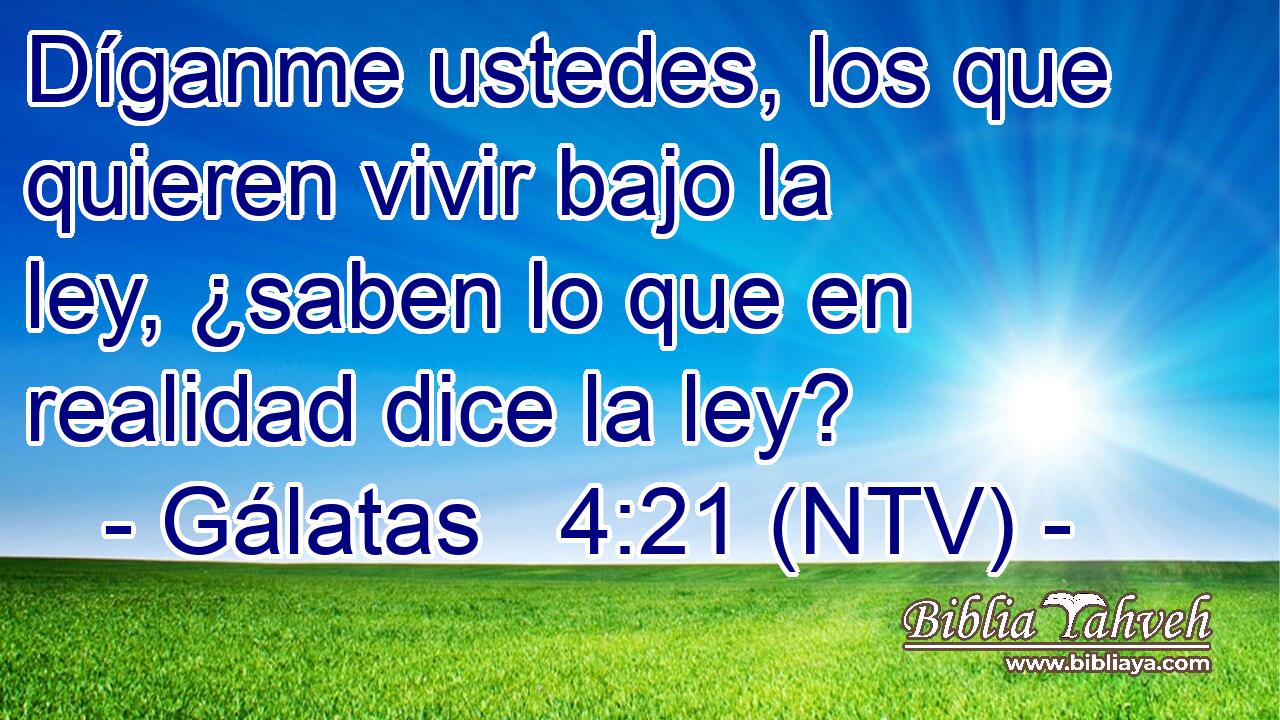 Díganme ustedes, los que quieren vivir bajo la ley, ¿saben lo que en realidad dice la ley?