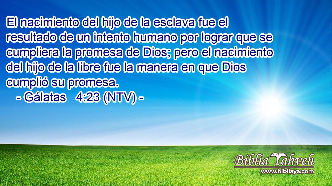 El nacimiento del hijo de la esclava fue el resultado de un intento humano por lograr que se cumpliera la promesa de Dios; pero el nacimiento del hijo de la libre fue la manera en que Dios cumplió su promesa.