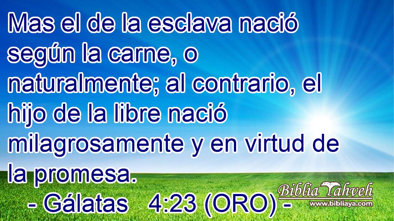  Mas el de la esclava nació según la carne, o naturalmente; al contrario, el hijo de la libre nació milagrosamente y en virtud de la promesa. 