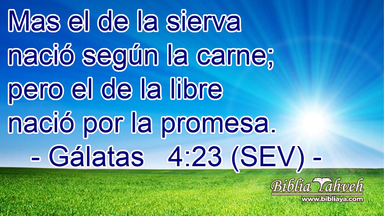 Mas el de la sierva nació según la carne; pero el de la libre nació por la promesa.