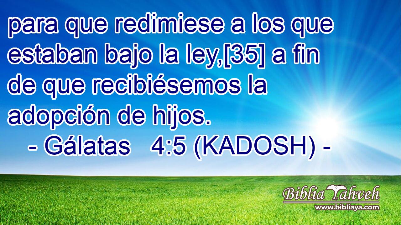  para que redimiese a los que estaban bajo la ley,[35] a fin de que recibiésemos la adopción de hijos. 