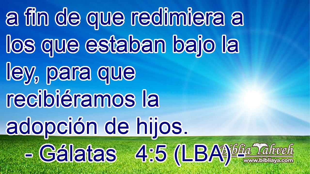 a fin de que redimiera a los que estaban bajo la ley, para que recibiéramos la adopción de hijos.