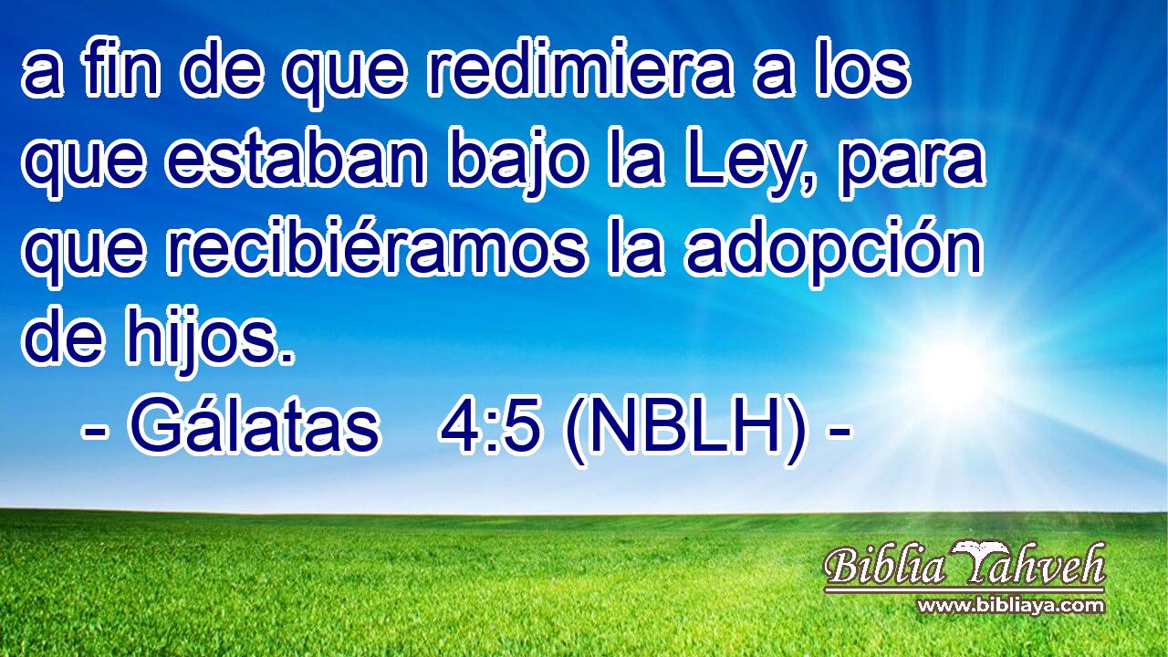  a fin de que redimiera a los que estaban bajo la Ley, para que recibiéramos la adopción de hijos. 