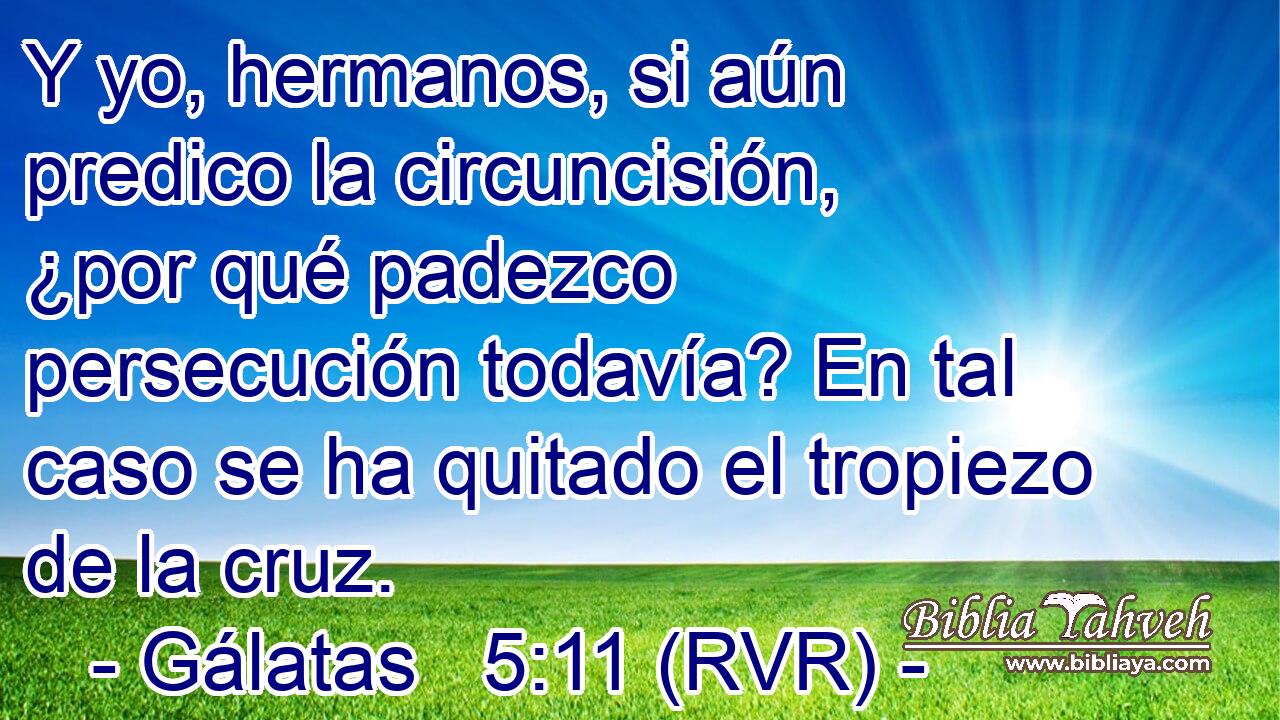 Y yo, hermanos, si aún predico la circuncisión, ¿por qué padezco persecución todavía? En tal caso se ha quitado el tropiezo de la cruz.