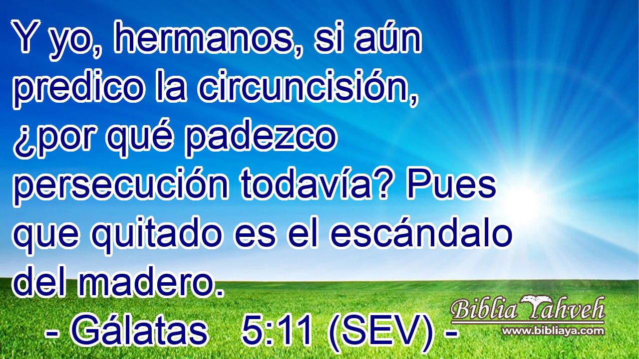 Y yo, hermanos, si aún predico la circuncisión, ¿por qué padezco persecución todavía? Pues que quitado es el escándalo del madero.