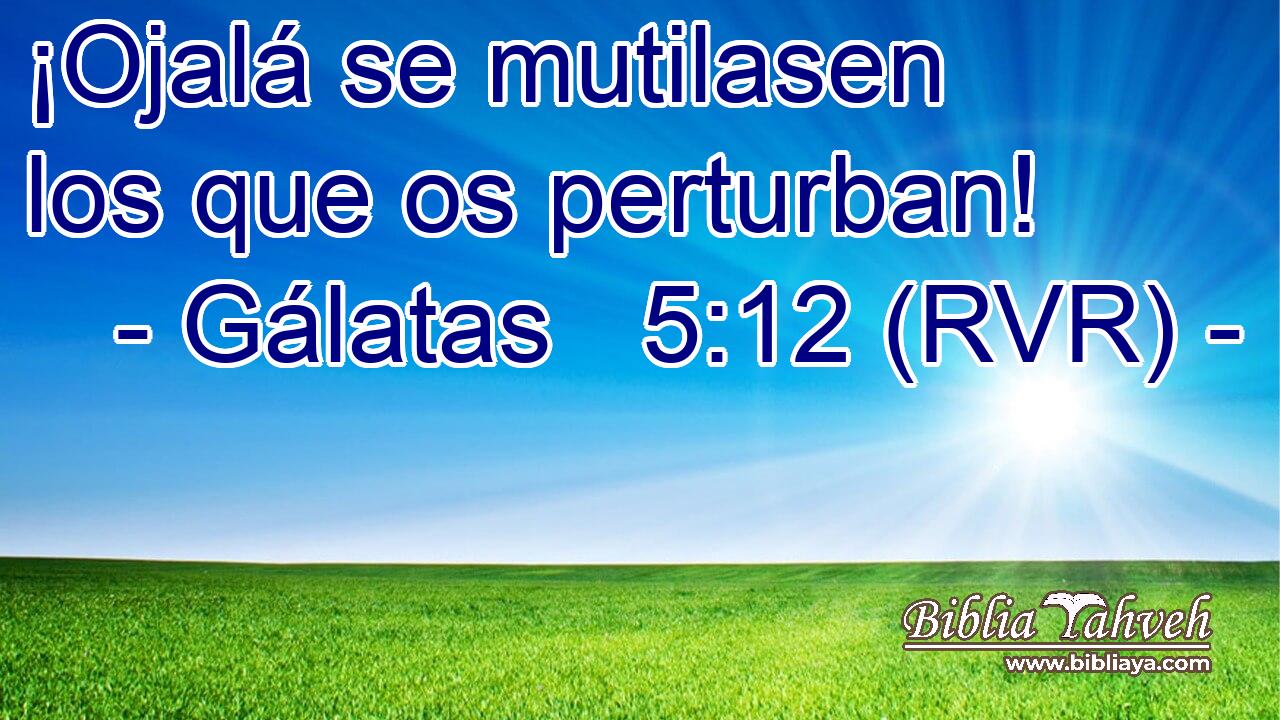 ¡Ojalá se mutilasen los que os perturban!