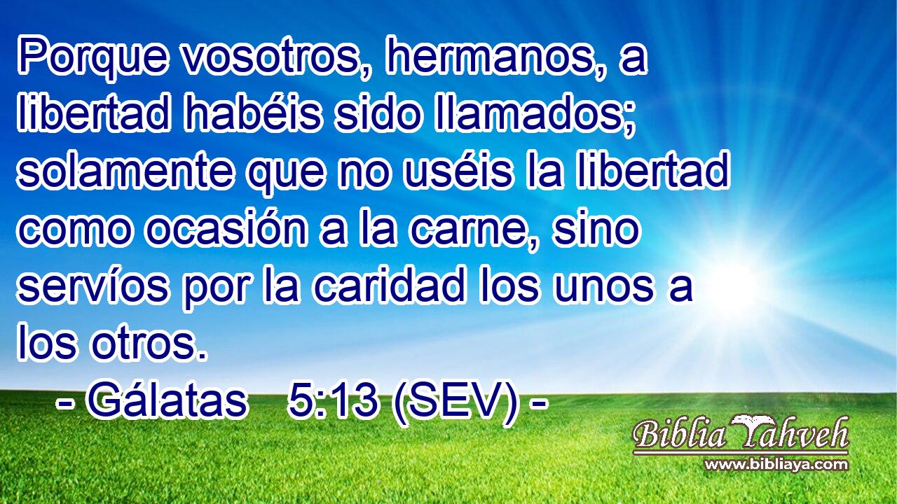 Porque vosotros, hermanos, a libertad habéis sido llamados; solamente que no uséis la libertad como ocasión a la carne, sino servíos por la caridad los unos a los otros.