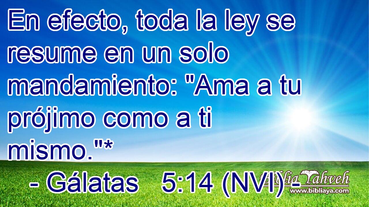 galatas 5 14 nvi