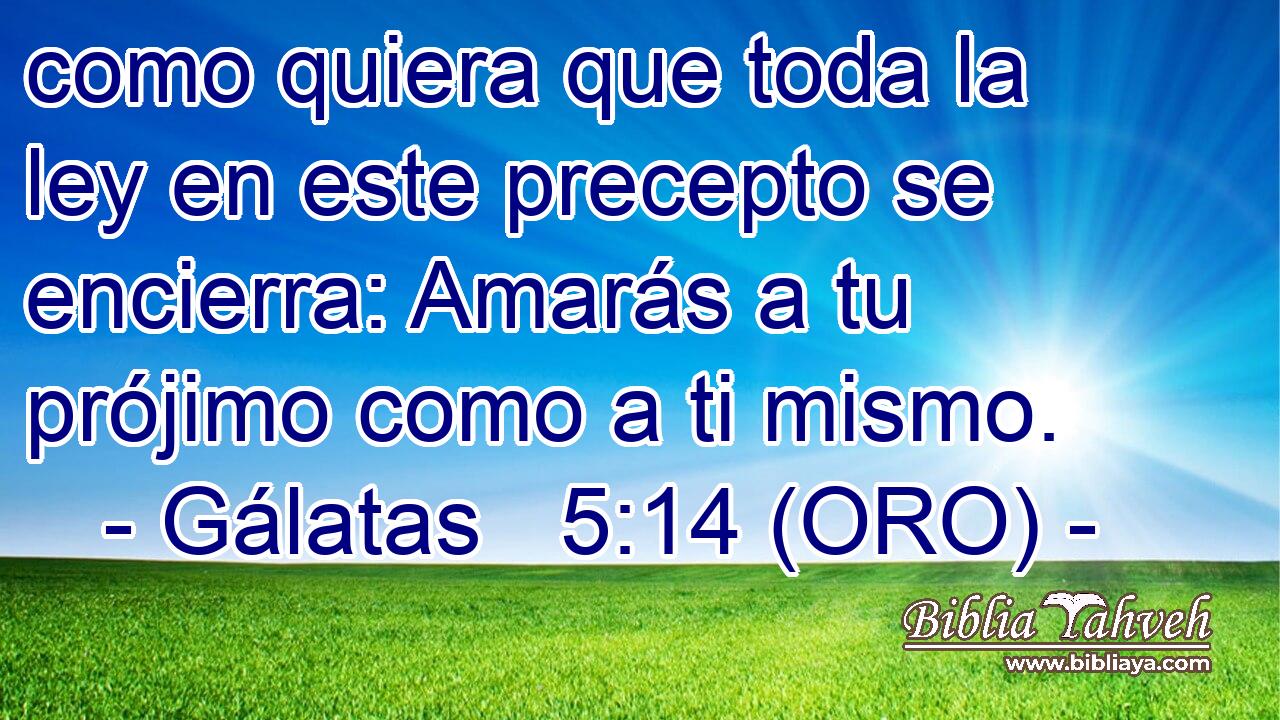  como quiera que toda la ley en este precepto se encierra: Amarás a tu prójimo como a ti mismo. 