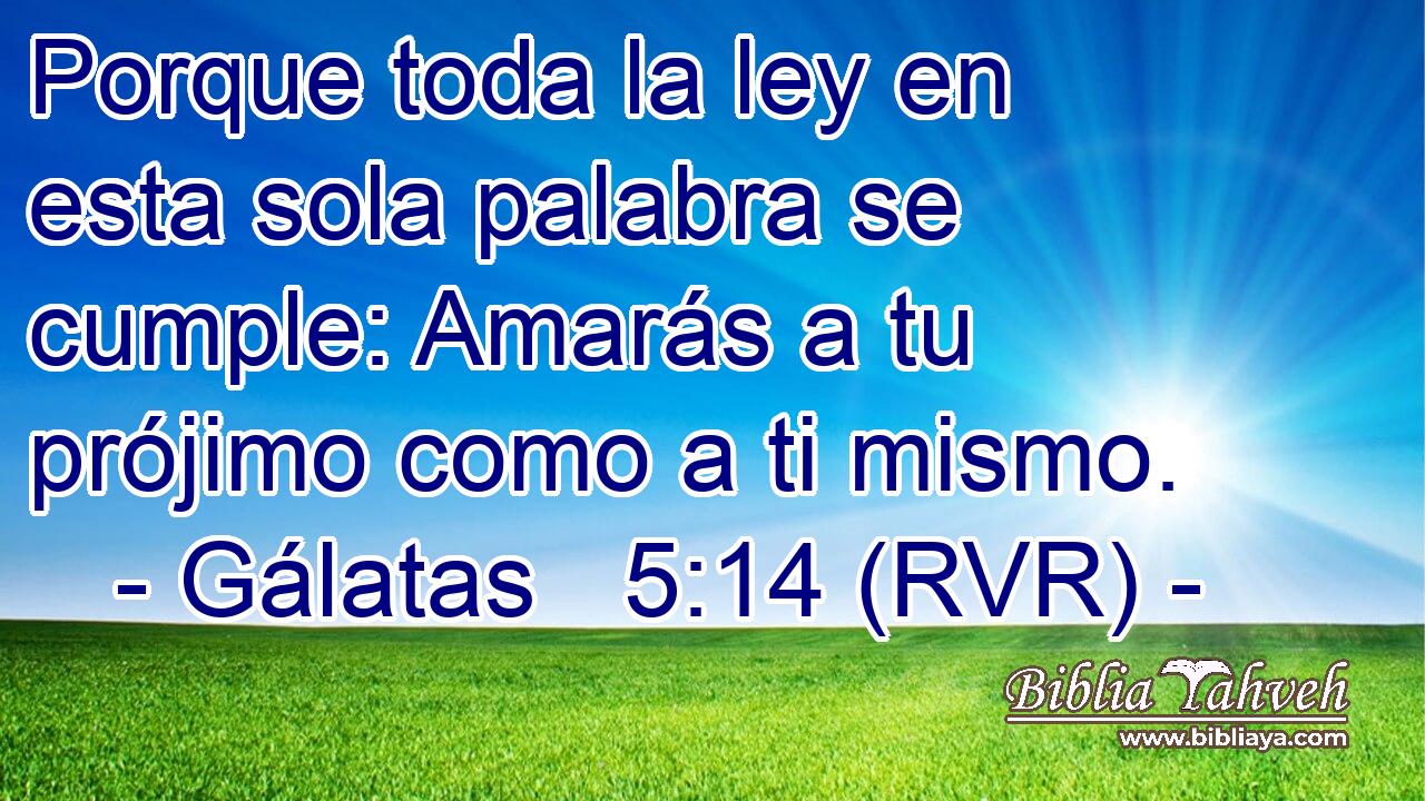 Porque toda la ley en esta sola palabra se cumple: Amarás a tu prójimo como a ti mismo.
