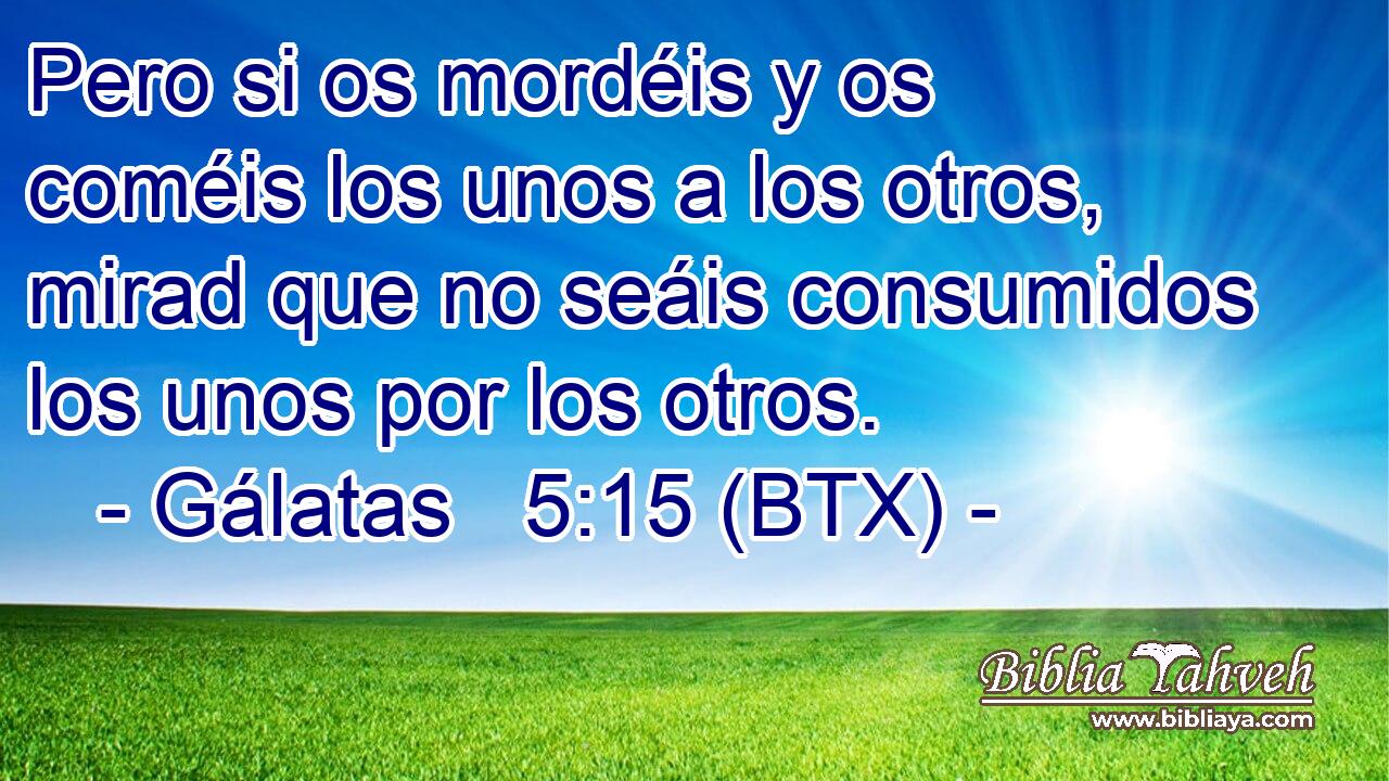 Pero si os mordéis y os coméis los unos a los otros, mirad que no seáis consumidos los unos por los otros.