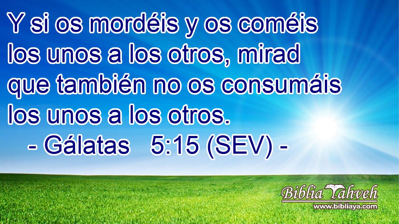 Y si os mordéis y os coméis los unos a los otros, mirad que también no os consumáis los unos a los otros.