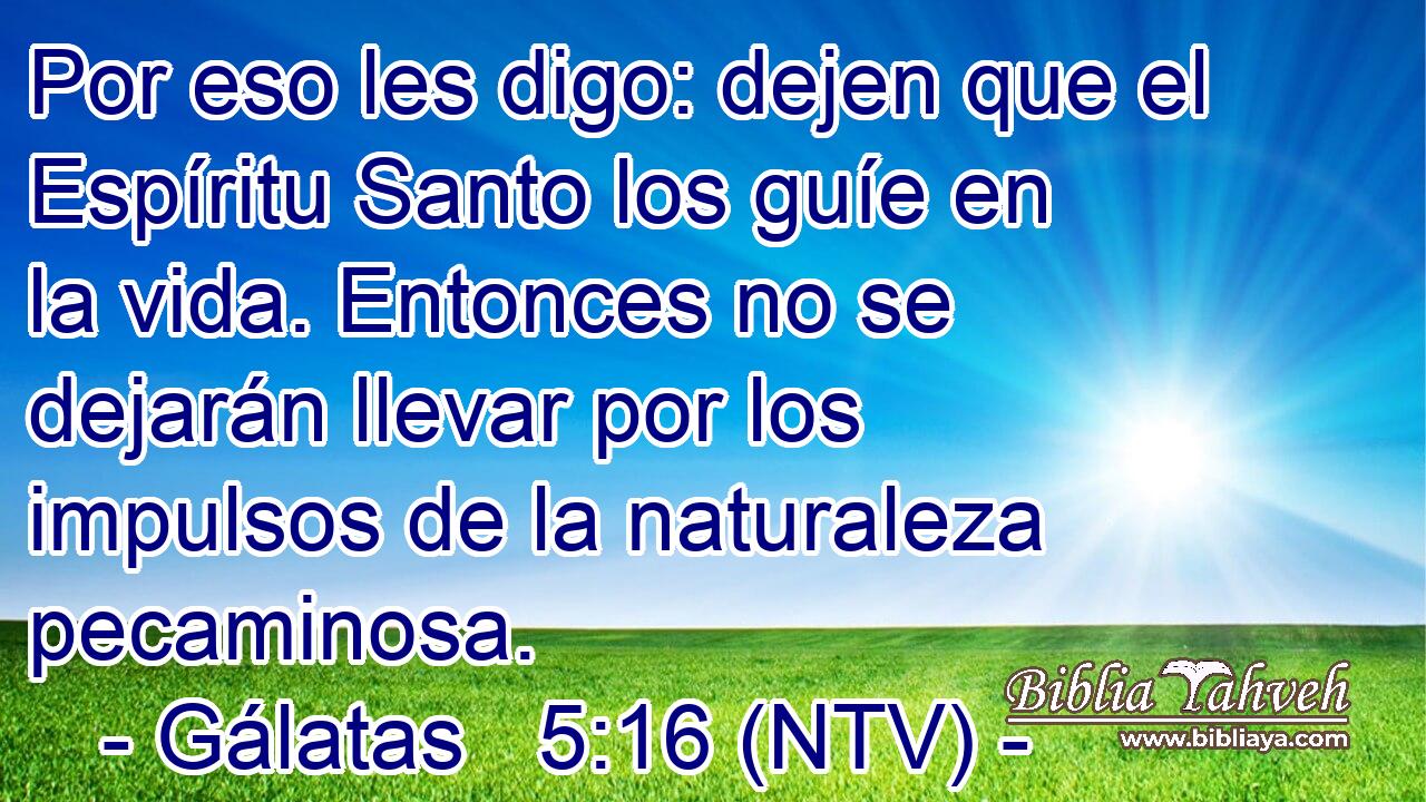 Por eso les digo: dejen que el Espíritu Santo los guíe en la vida. Entonces no se dejarán llevar por los impulsos de la naturaleza pecaminosa.