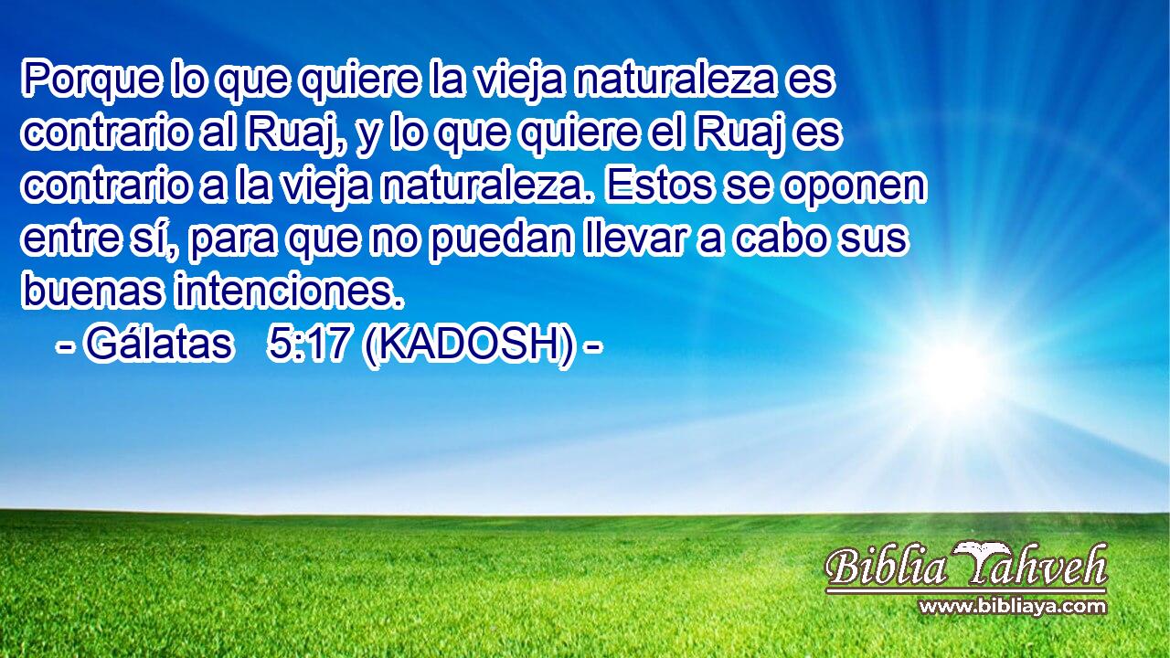  Porque lo que quiere la vieja naturaleza es contrario al Ruaj, y lo que quiere el Ruaj es contrario a la vieja naturaleza. Estos se oponen entre sí, para que no puedan llevar a cabo sus buenas intenciones. 