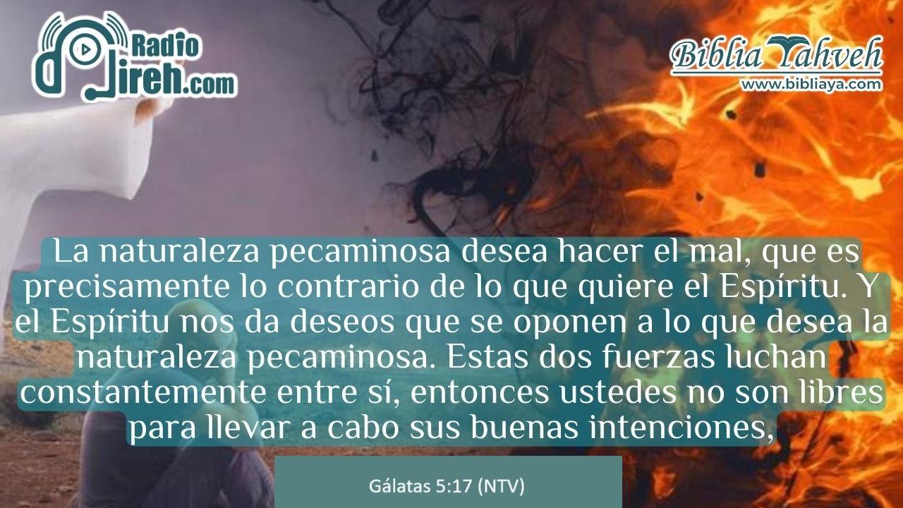 La naturaleza pecaminosa desea hacer el mal, que es precisamente lo contrario de lo que quiere el Espíritu. Y el Espíritu nos da deseos que se oponen a lo que desea la naturaleza pecaminosa. Estas dos fuerzas luchan constantemente entre sí, entonces ustedes no son libres para llevar a cabo sus buenas intenciones.