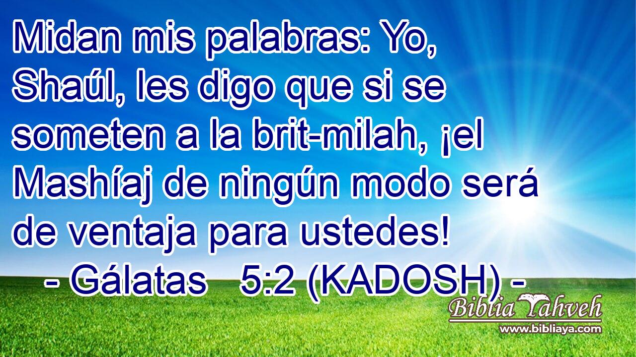  Midan mis palabras: Yo, Shaúl, les digo que si se someten a la brit-milah, ¡el Mashíaj de ningún modo será de ventaja para ustedes! 