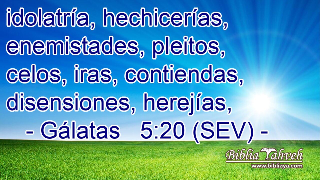 idolatría, hechicerías, enemistades, pleitos, celos, iras, contiendas, disensiones, herejías,