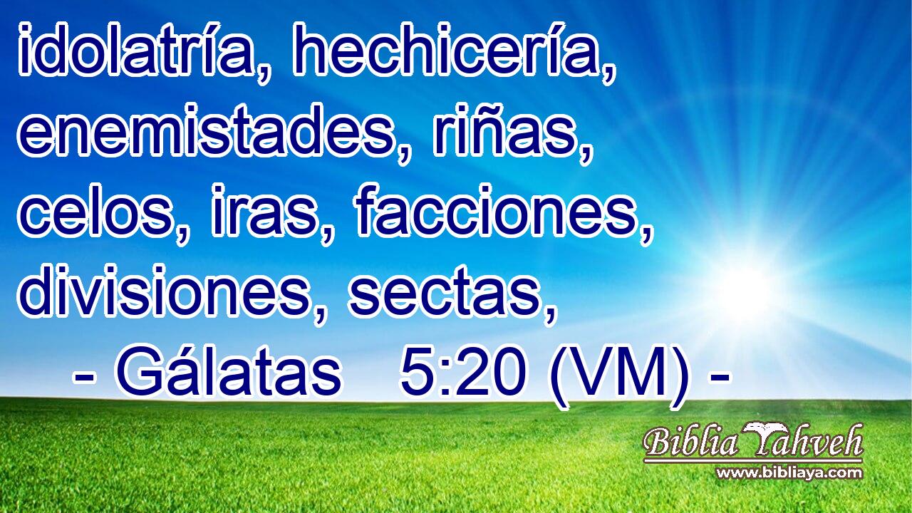  idolatría, hechicería, enemistades, riñas, celos, iras, facciones, divisiones, sectas, 