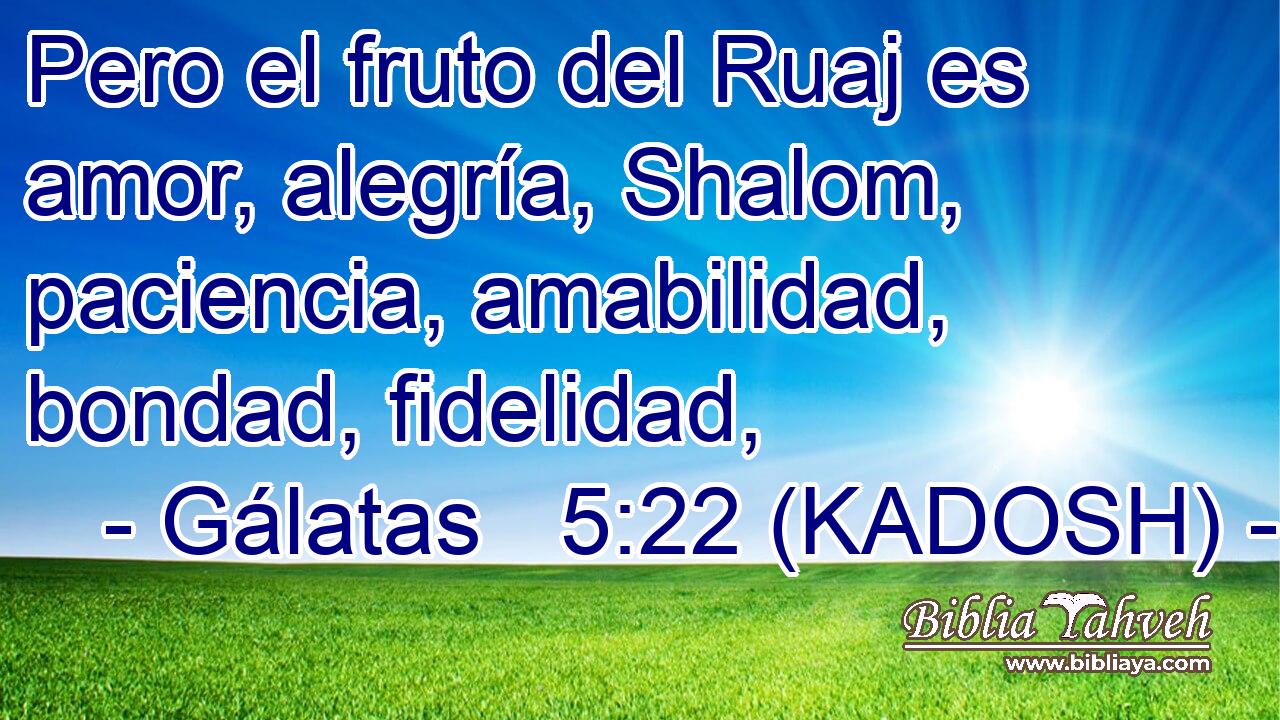  Pero el fruto del Ruaj es amor, alegría, Shalom, paciencia, amabilidad, bondad, fidelidad, 