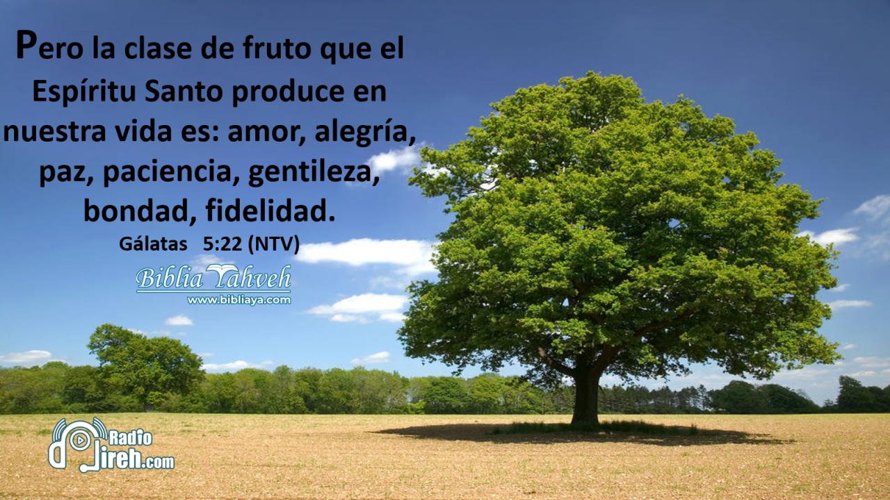 Pero la clase de fruto que el Espíritu Santo produce en nuestra vida es: amor, alegría, paz, paciencia, gentileza, bondad, fidelidad,